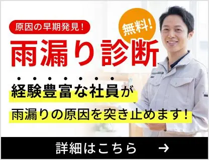 雨漏り診断